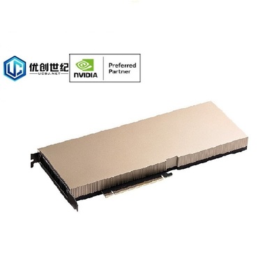 NVIDIA A10 Tensor &nbsp;GPU